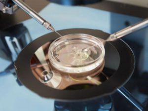 Read more about the article 7 things You Didn’t Know About IVF