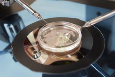 7 things You Didn’t Know About IVF
