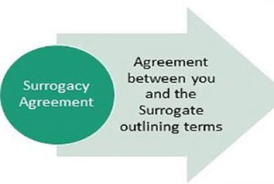An Overview of the Surrogacy Process