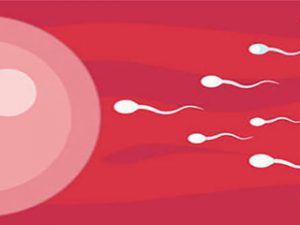 Read more about the article 10 effective ways to make healthy sperm