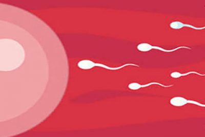 10 effective ways to make healthy sperm