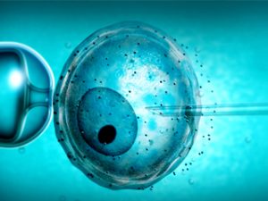 Read more about the article Is ICSI Treatment more effective than IVF?