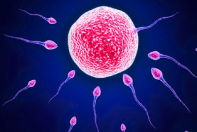 TOI Interviews Dr. Rita Bakshi on Increasing Sperm Costs in India
