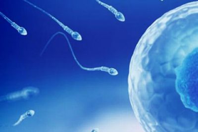 What causes low sperm count and how to treat it for achieving pregnancy?