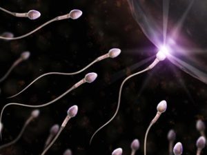 Read more about the article Are you having sperm or semen allergy ?