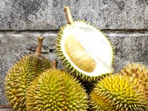 Read more about the article How Durian Fruit will help you Conceive?