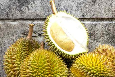 How Durian Fruit will help you Conceive?