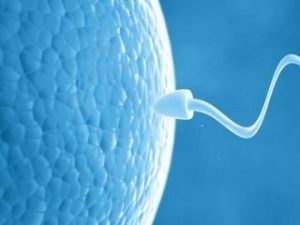Read more about the article IVF Treatment in Jaipur: A Ray of Hope for Infertile Couples