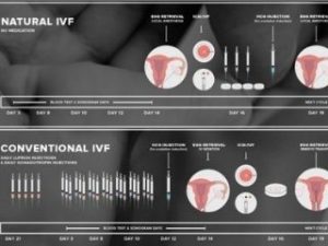 Read more about the article Differences between Natural IVF cycle and Conventional IVF Cycle