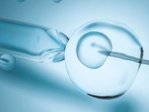 Read more about the article Step-by-Step Through an IVF cycle: Giving Birth to a  New Life