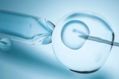Step-by-Step Through an IVF cycle: Giving Birth to a  New Life