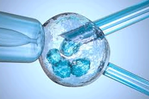 Pre-implantation genetic diagnosis