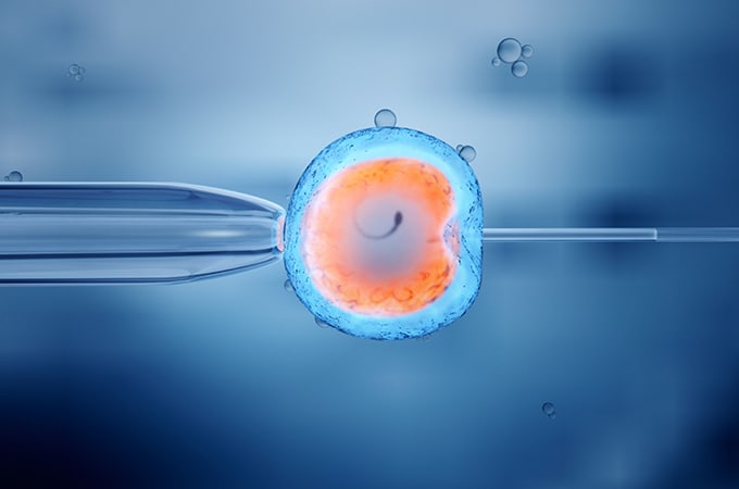 IVF Treatment IVF Treatment