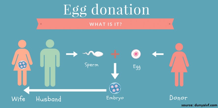 Best Egg Donation in Delhi - RISAA IVF