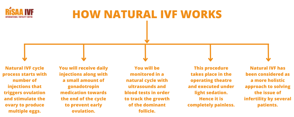 natural ivf cycle