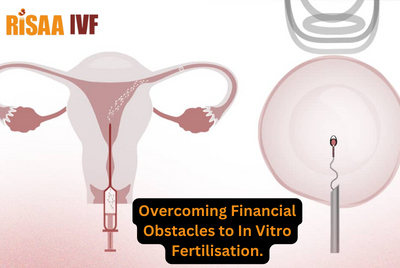 Overcoming Financial Obstacles to In Vitro Fertilisation.