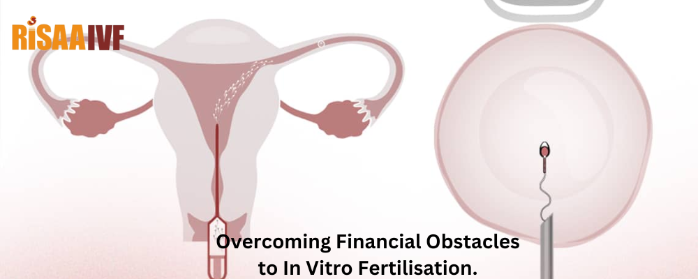 Overcoming Financial Obstacles to In Vitro Fertilisation.