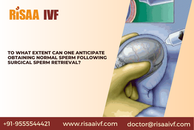 To what extent can one anticipate obtaining normal sperm following surgical sperm retrieval?
