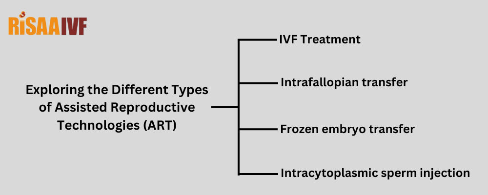 Exploring the Different Types of Assisted Reproductive Technologies (ART)