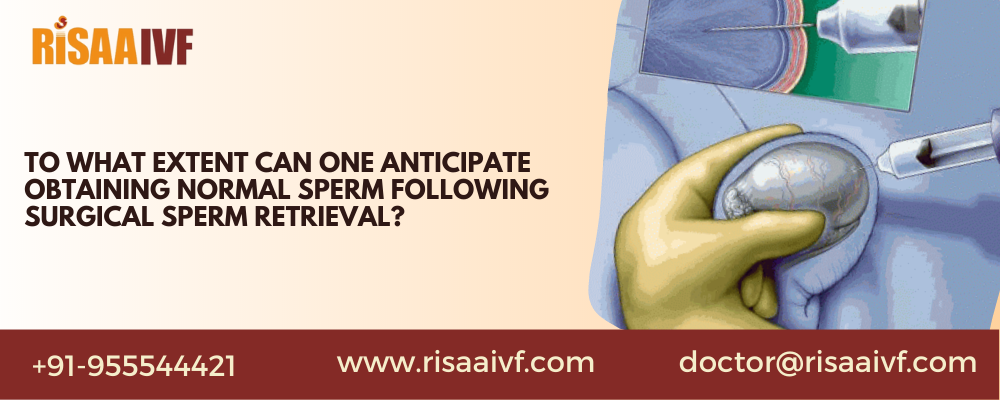 To what extent can one anticipate obtaining normal sperm following surgical sperm retrieval?