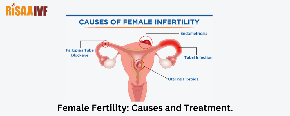 Female Fertility Treatments — Male Infertility Guide