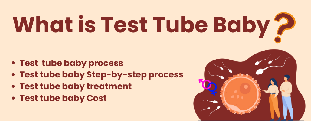 Test tube baby process