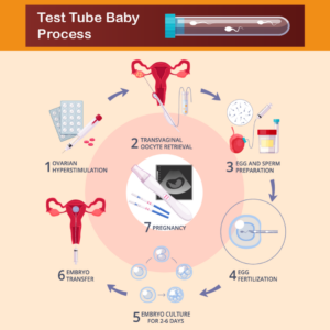 what is test tube baby process