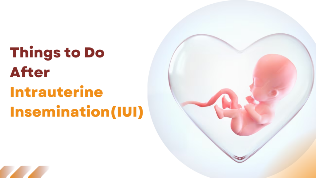 Things to Do After Intrauterine insemination (IUI)