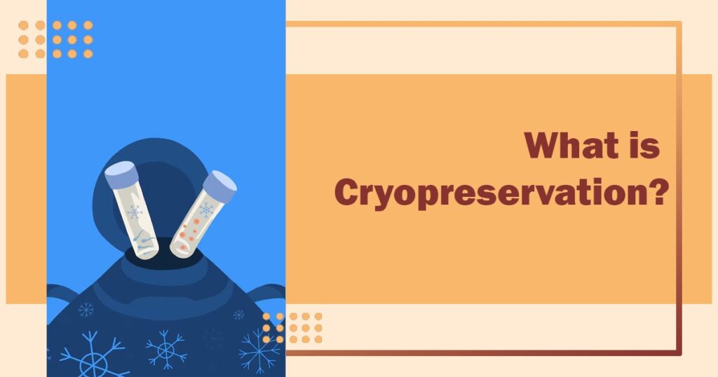 What is Cryopreservation?