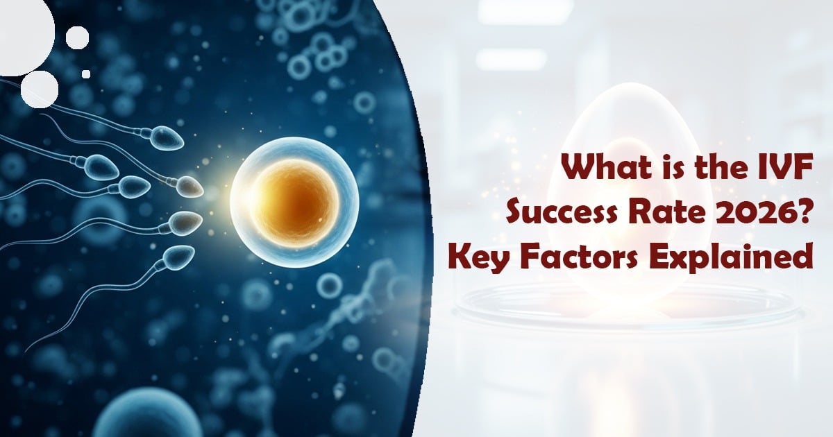 Best IVF Success Rate 2026