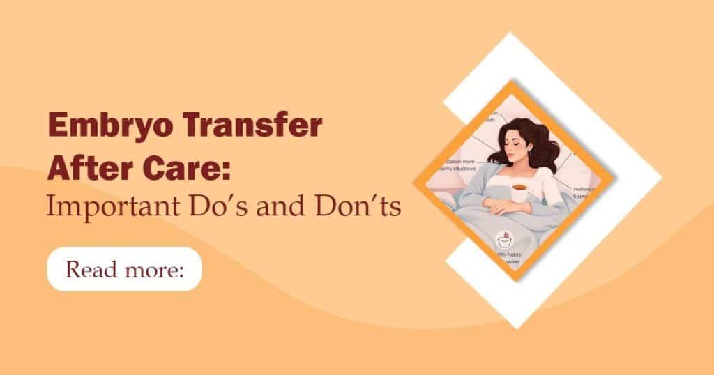 embryo transfer after care