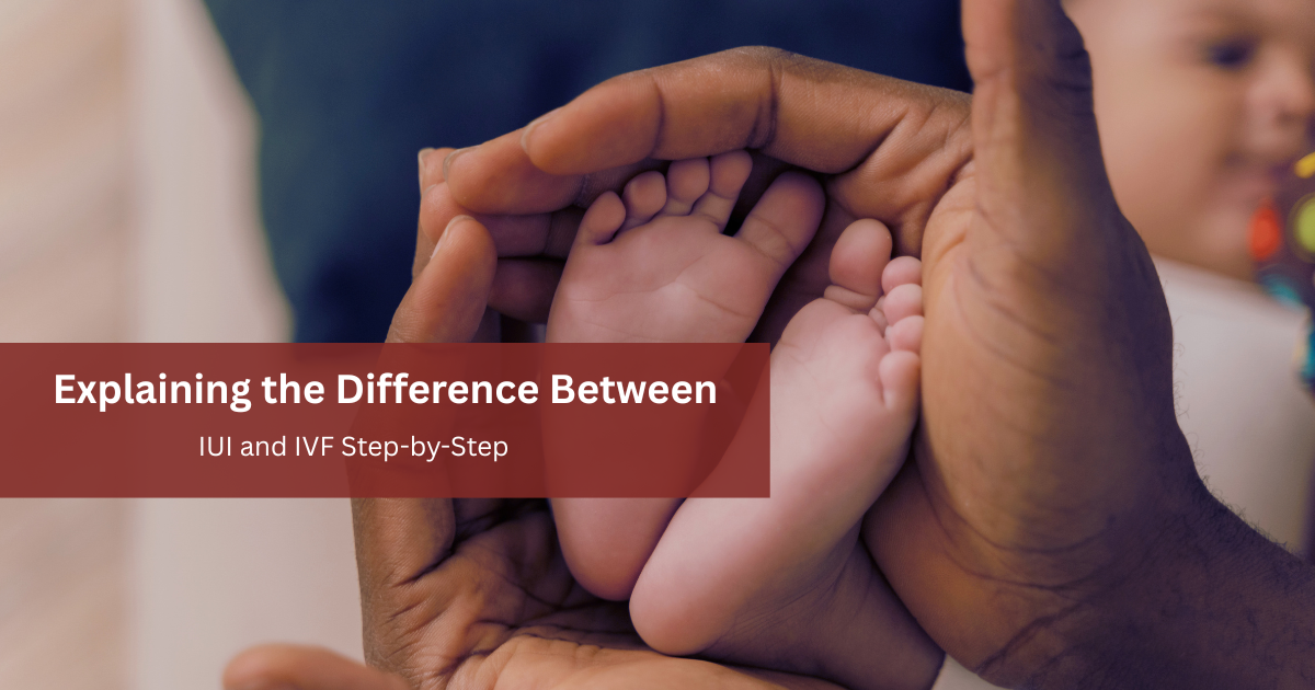difference between IUI and IVF
