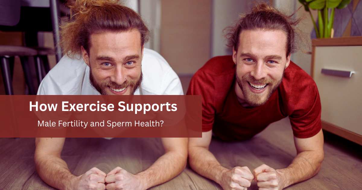 How to make sperm stronger for pregnancy
