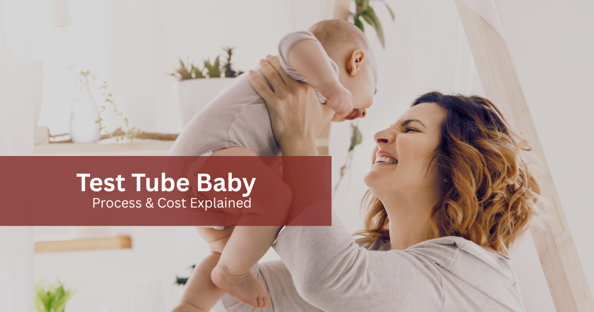 Test Tube Baby Process