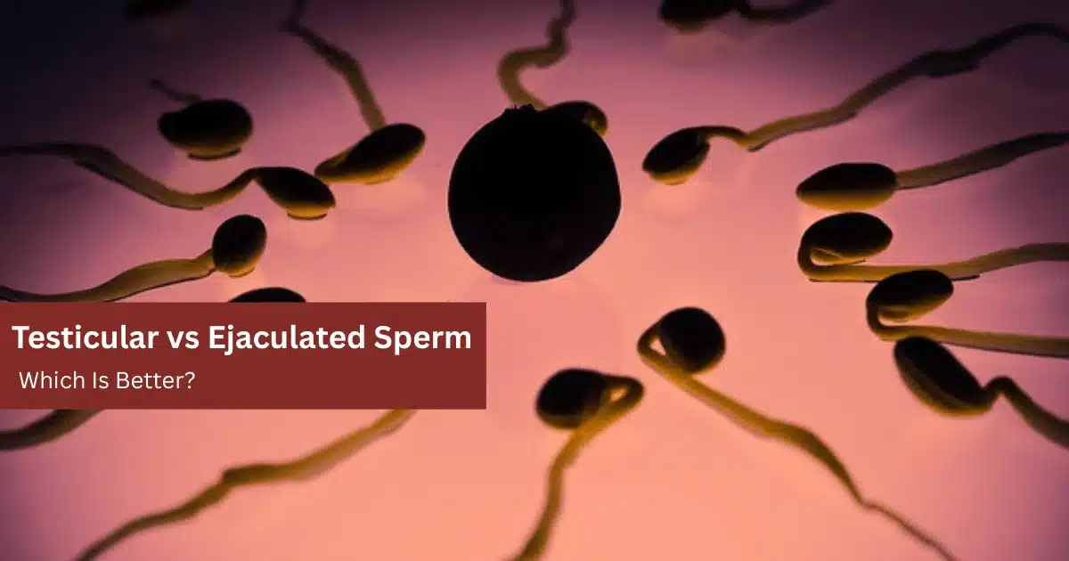 Testicular Sperm vs Ejaculated Sperm