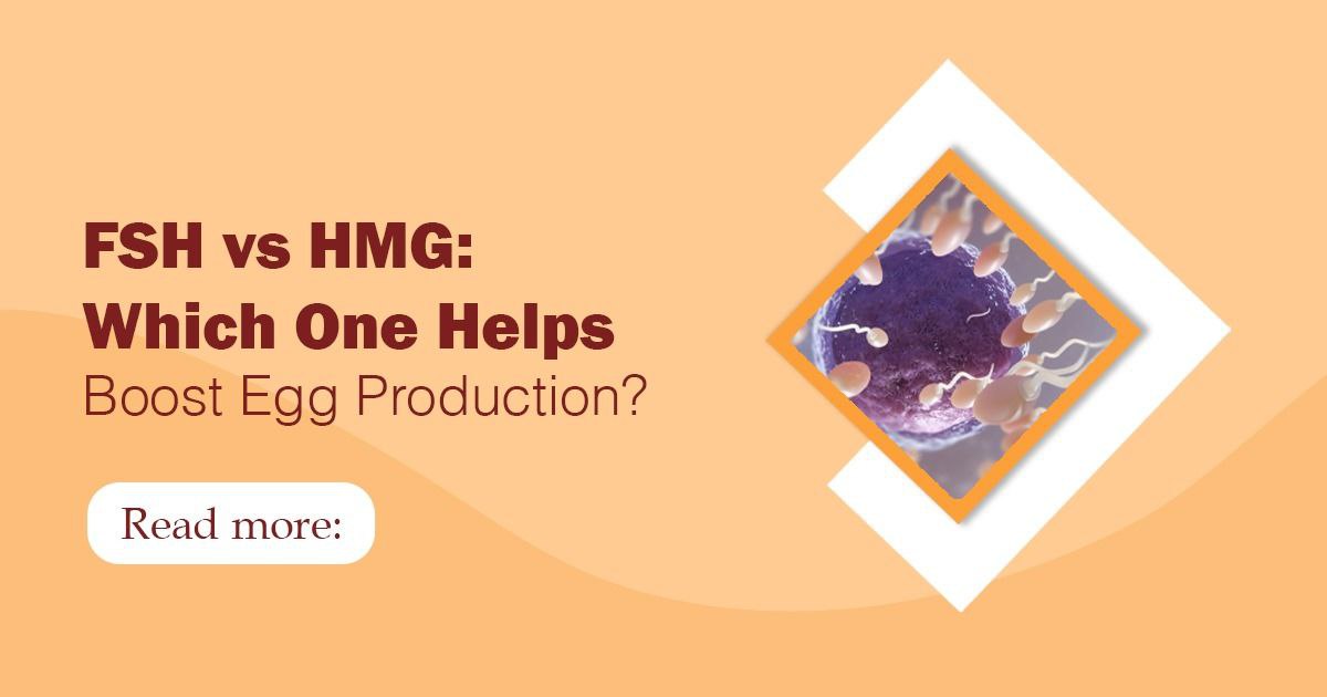 FSH vs HMG