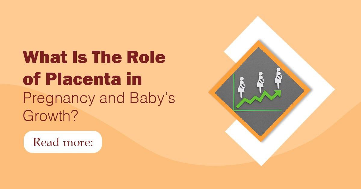 what is the role of placenta