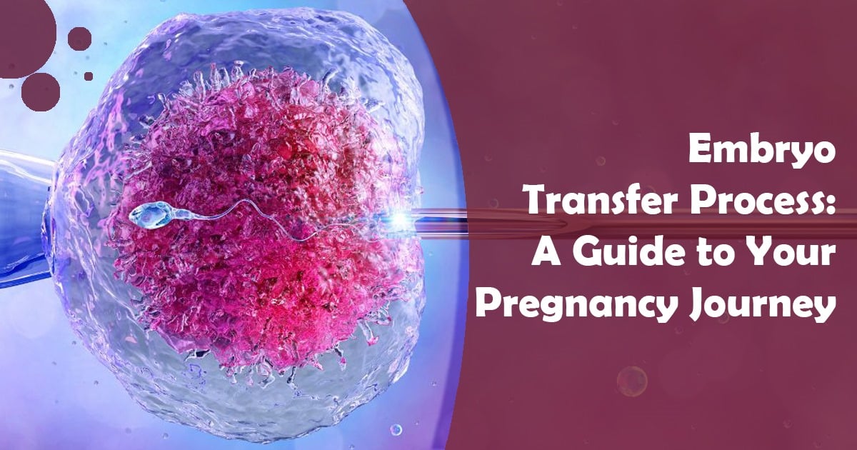 Embryo Transfer Process