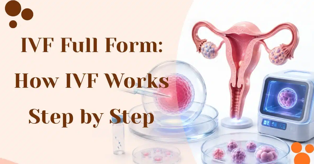 IVF Full Form: How IVF Works Step by Step — IFC