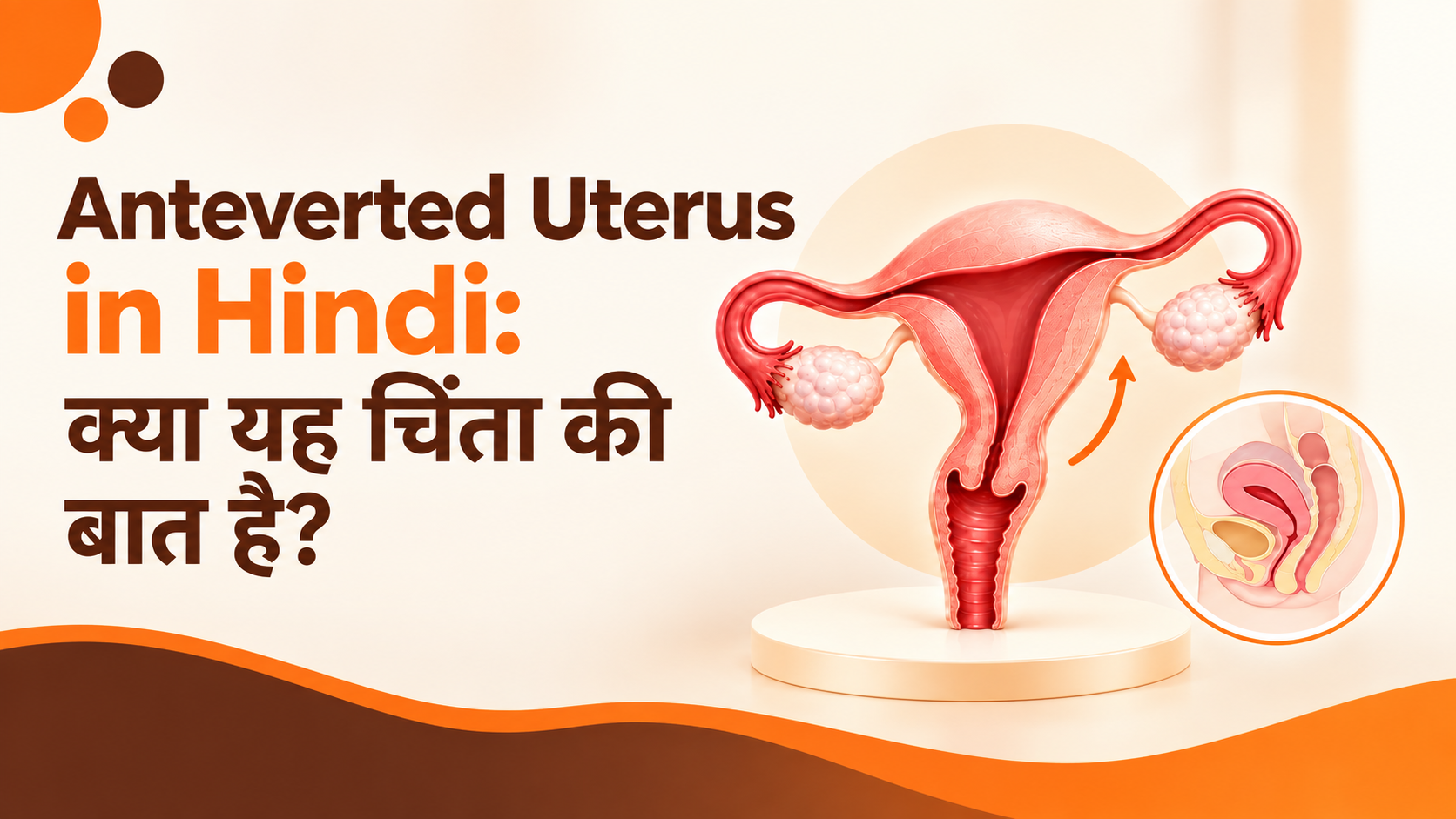 Anteverted Uterus in Hindi – Uterus Position and Meaning