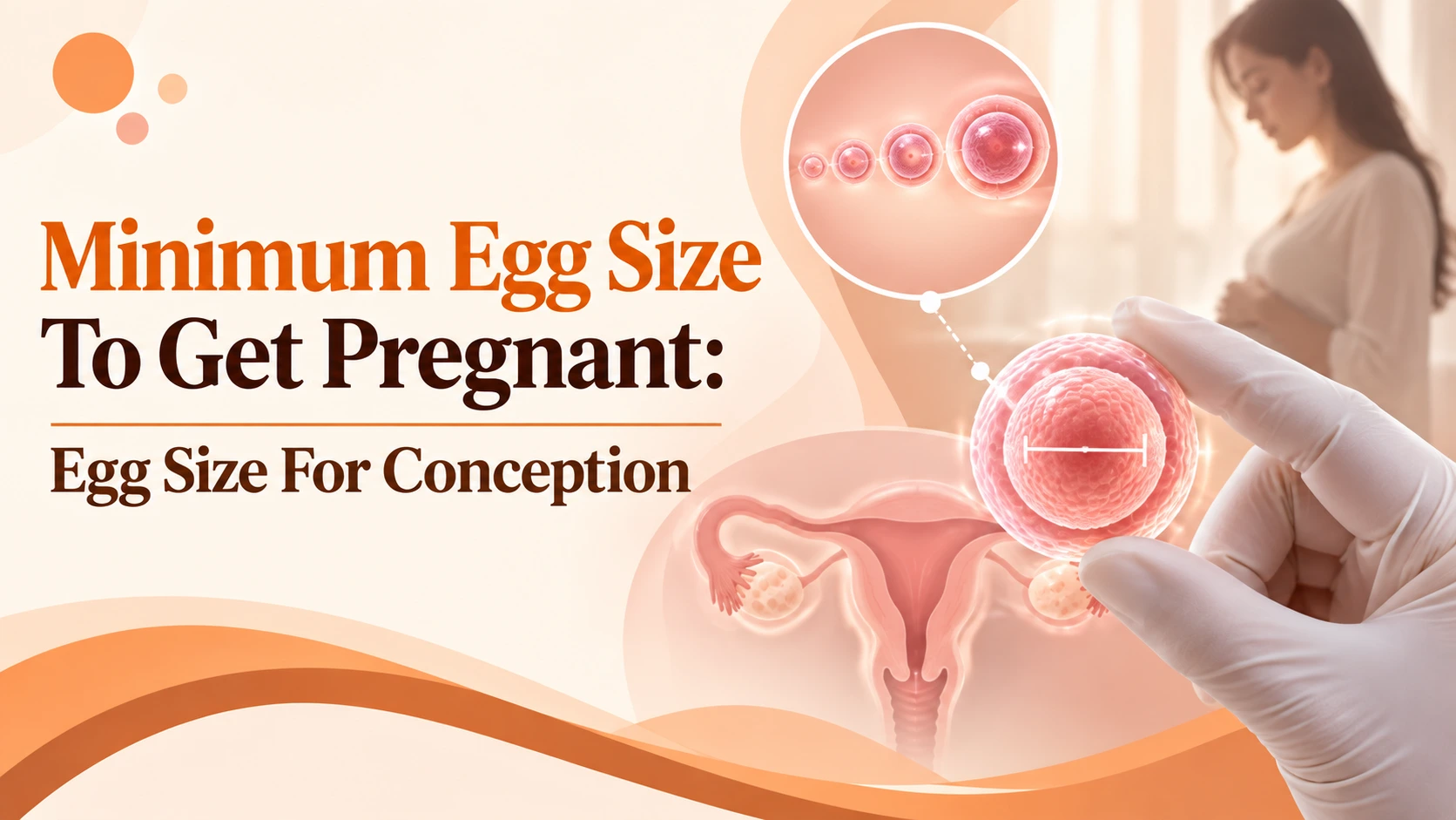 minimum egg size to get pregnant egg size for conception follicle guide Risaa IVF Karnal